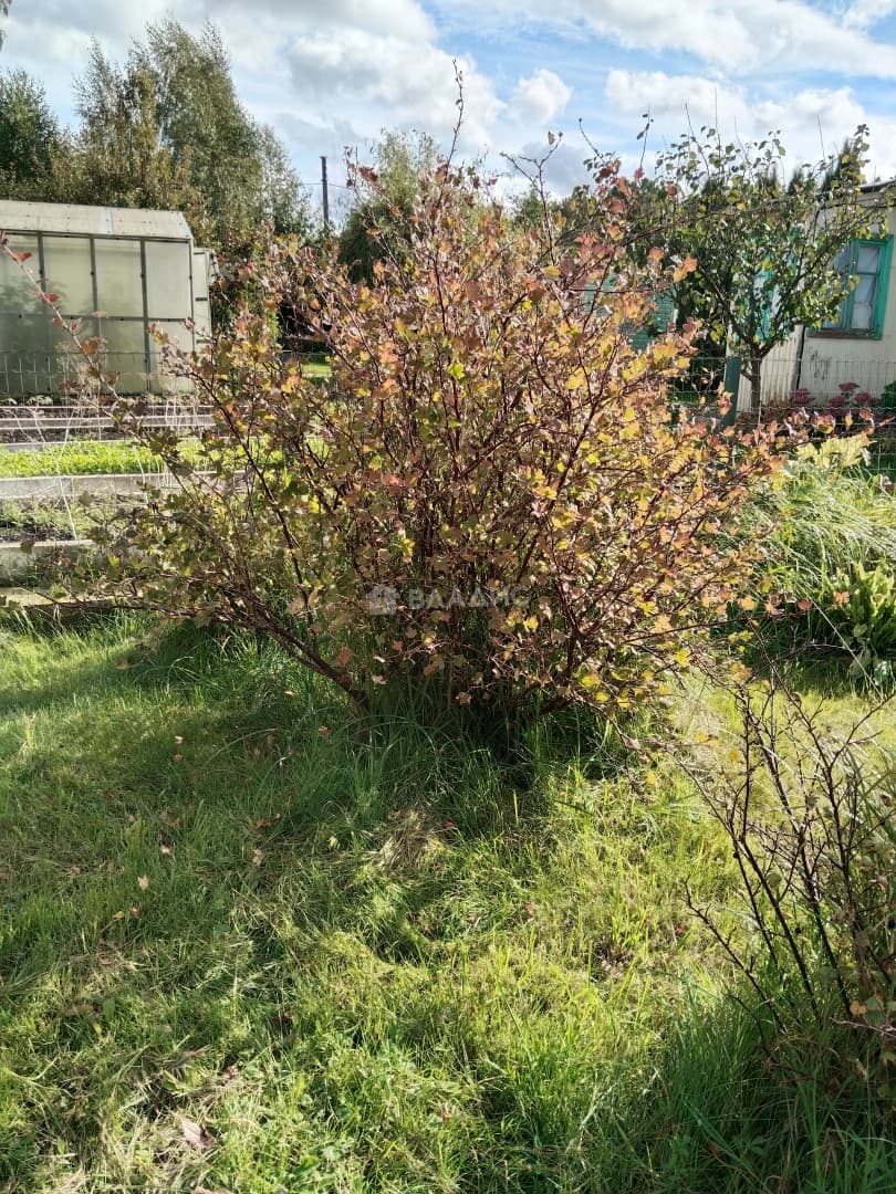 Photo 34