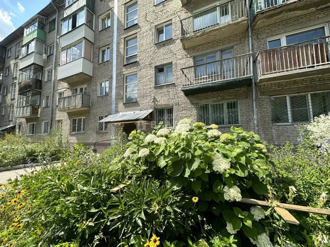 Photo 15