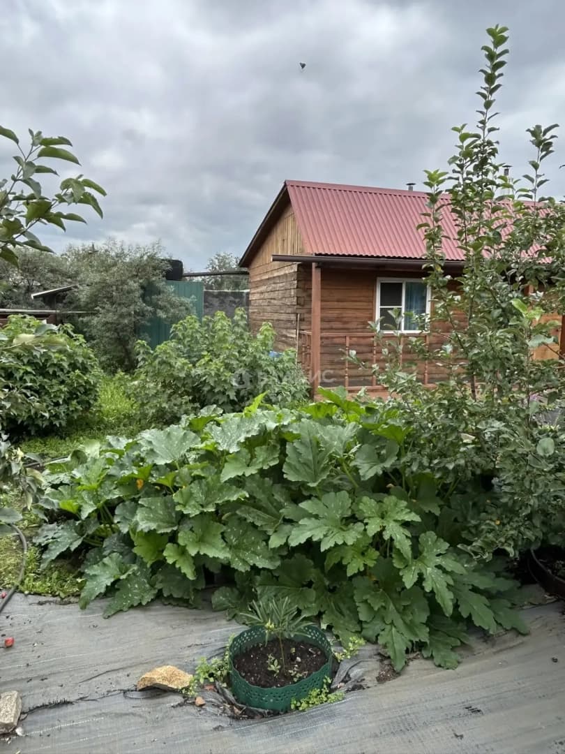 Photo 18