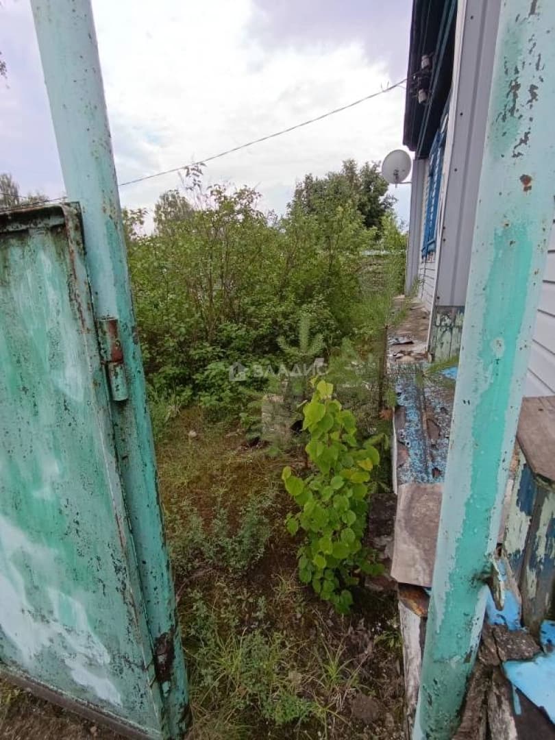 Photo 24