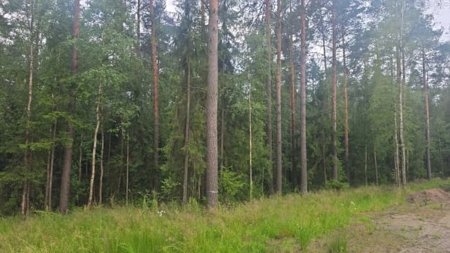 Купить земельный участок в Приозерском районе в Ленинградской области. Вариант № 2248730, 1, площадь - квм, цена 8000000 рублей