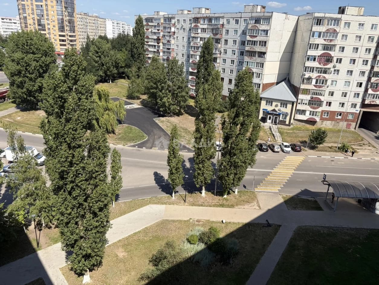 Photo 21