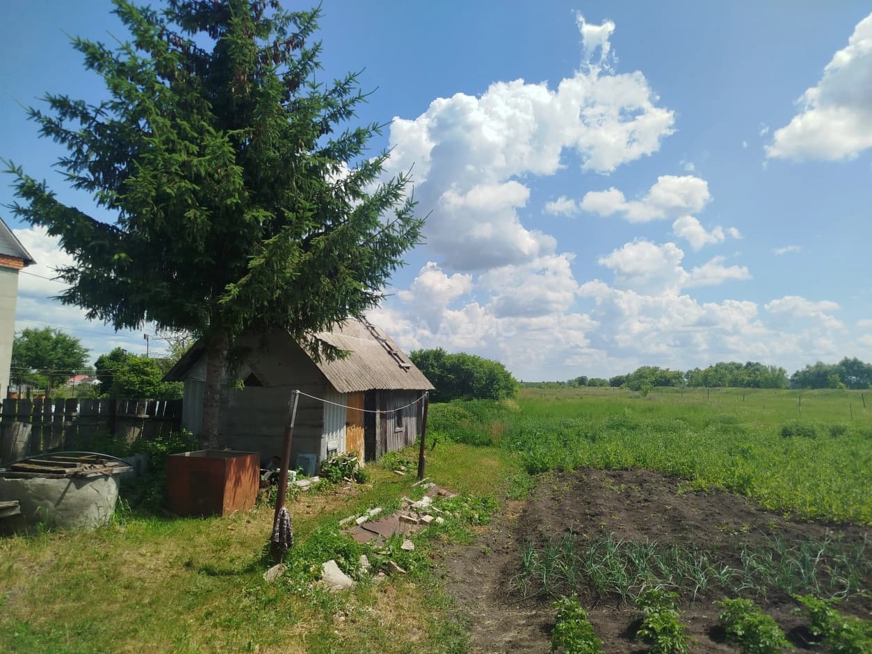 Photo 13