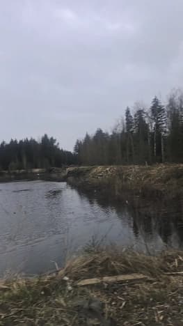Купить земельный участок в ИЖС в Ленинградской области. Вариант № 2156765, 1, площадь - квм, цена 6000000 рублей