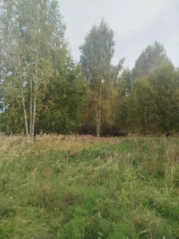 Купить земельный участок в Деревне Ремни в Собинском Муниципальном Округе в Владимирской области. Вариант № 2352414, 0, площадь - квм, цена 2350000 рублей