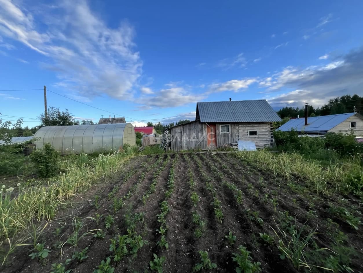 Photo 22