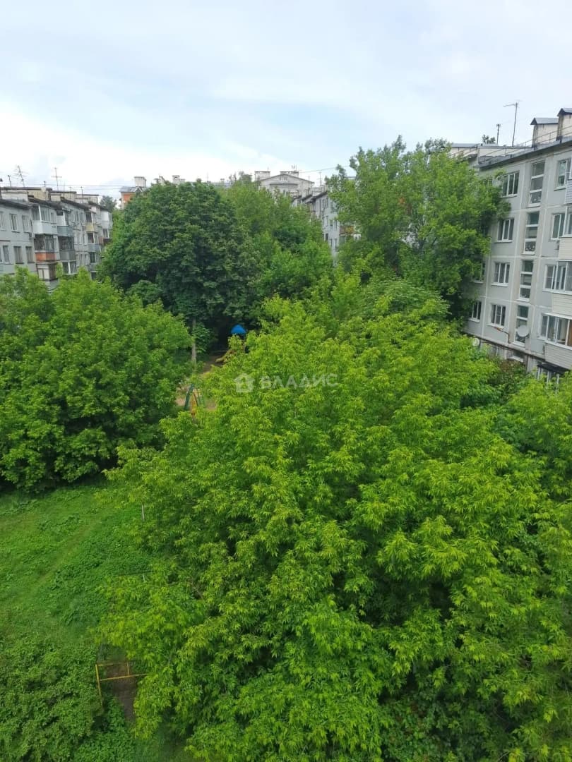 Photo 24