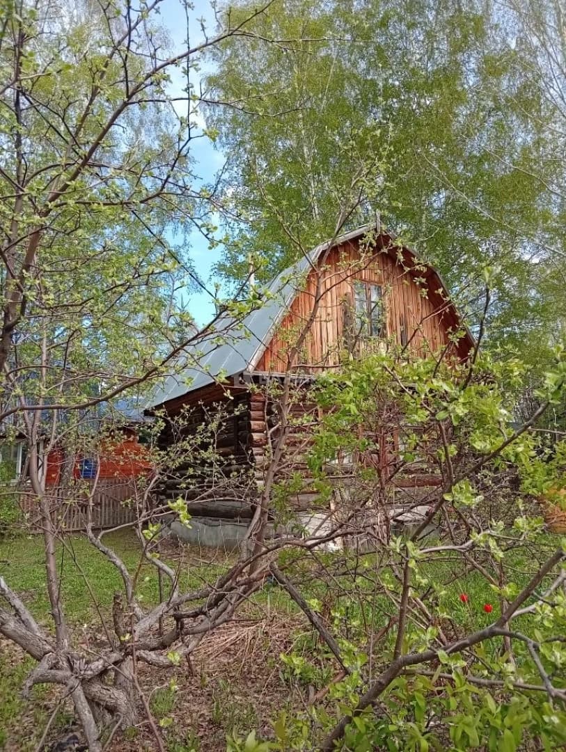 Photo 11