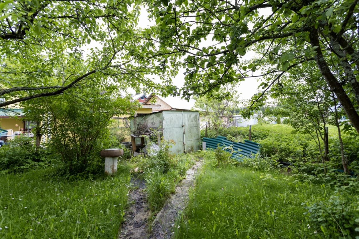 Photo 21