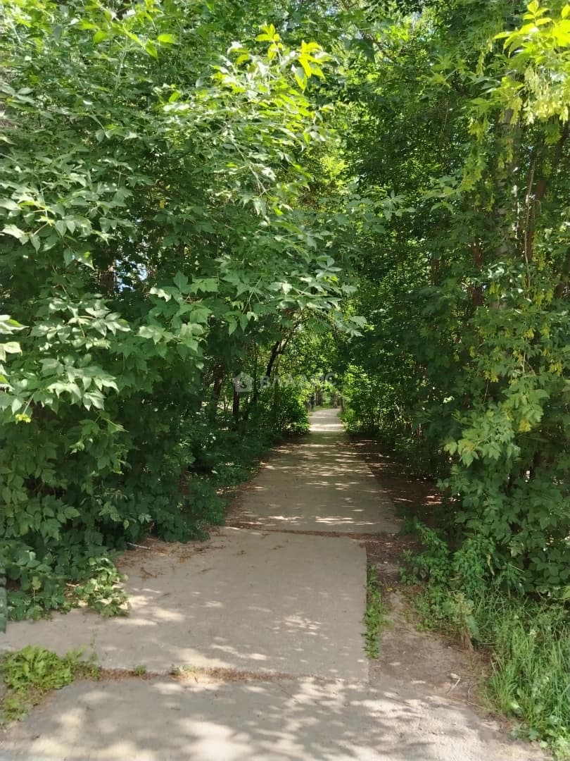 Photo 30