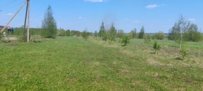 Купить земельный участок в Деревне Лаптеве в Клепиковском Муниципальном Округе в Рязанской области. Вариант № 2112850, 0, площадь - квм, цена 950000 рублей