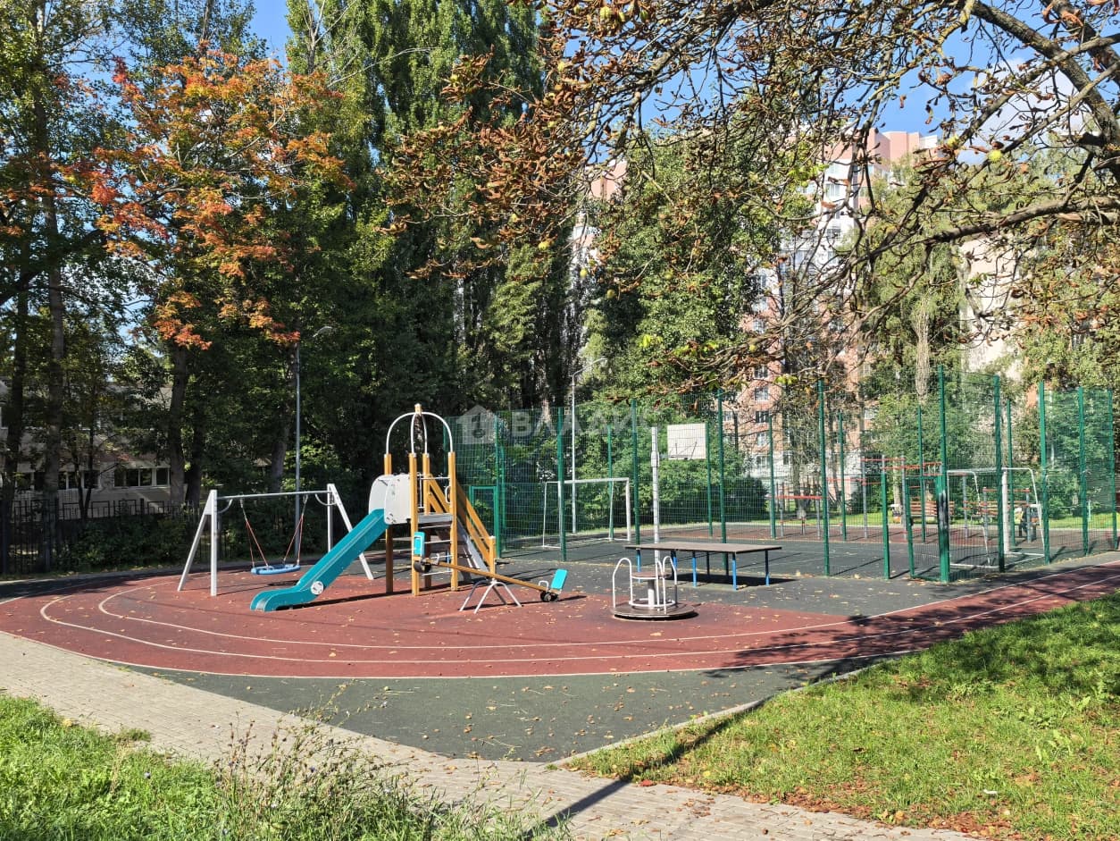 Photo 11