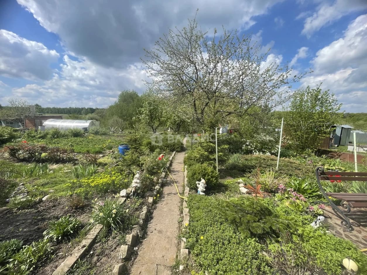 Photo 25