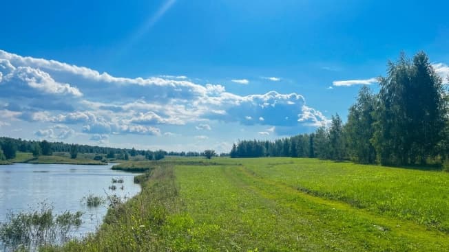 Купить земельный участок в Деревне Алтухове в Клепиковском районе в Рязанской области. Вариант № 1041168, 0, площадь - квм, цена 1253637 рублей