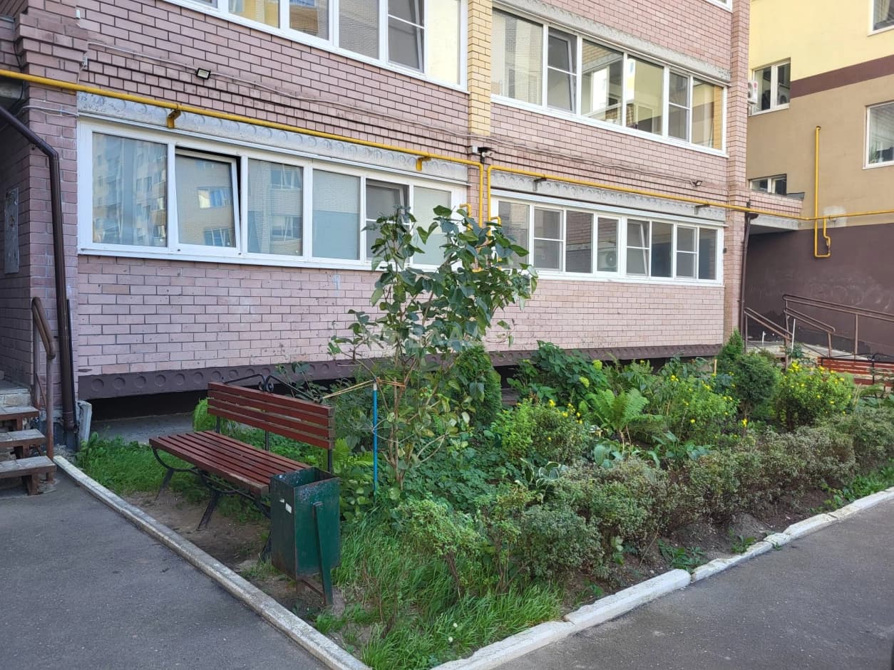 Photo 19