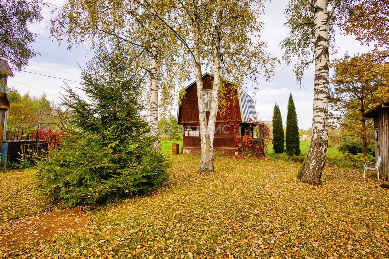Photo 27