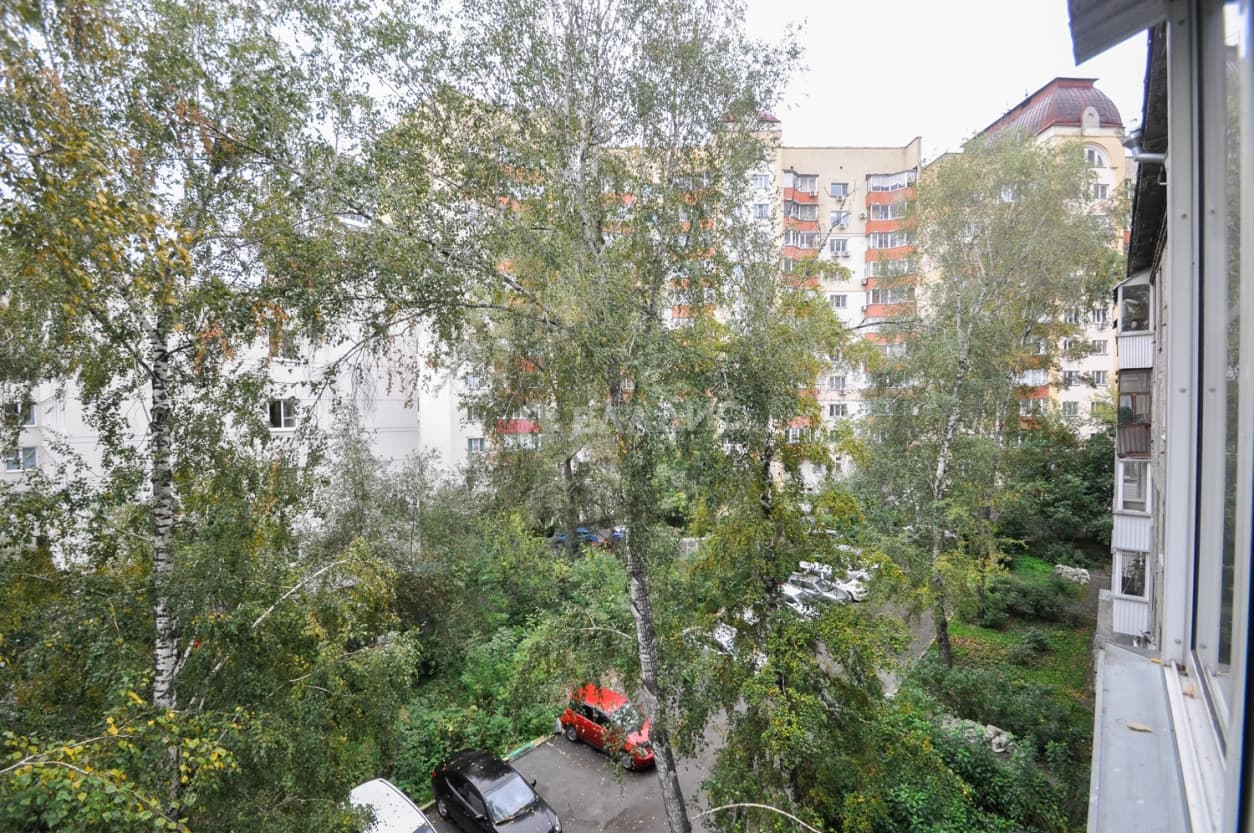 Photo 24