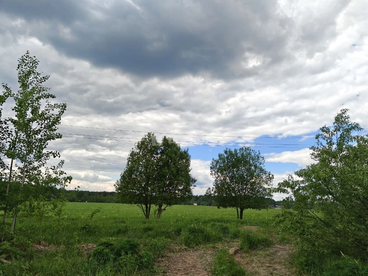 Photo 33