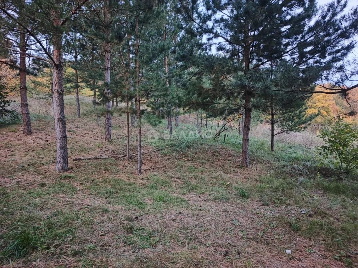Photo 36