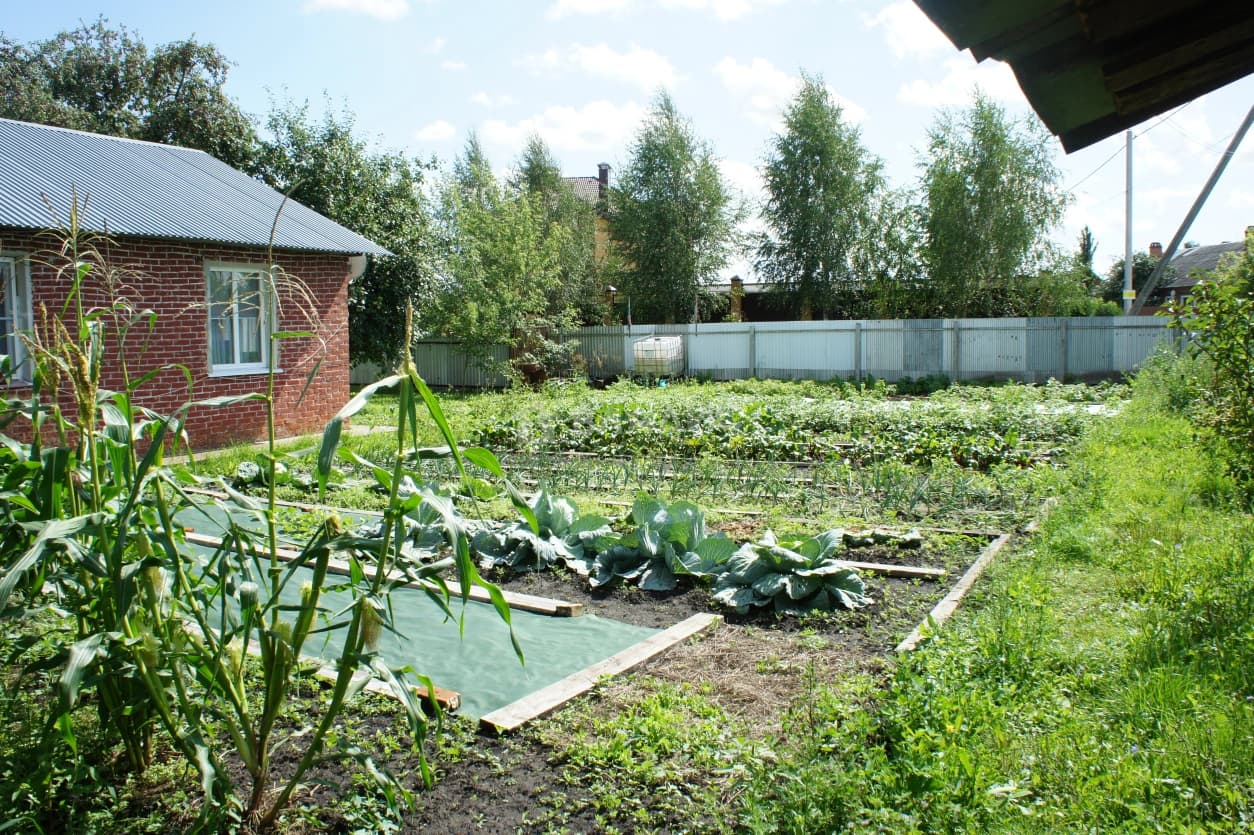 Photo 42