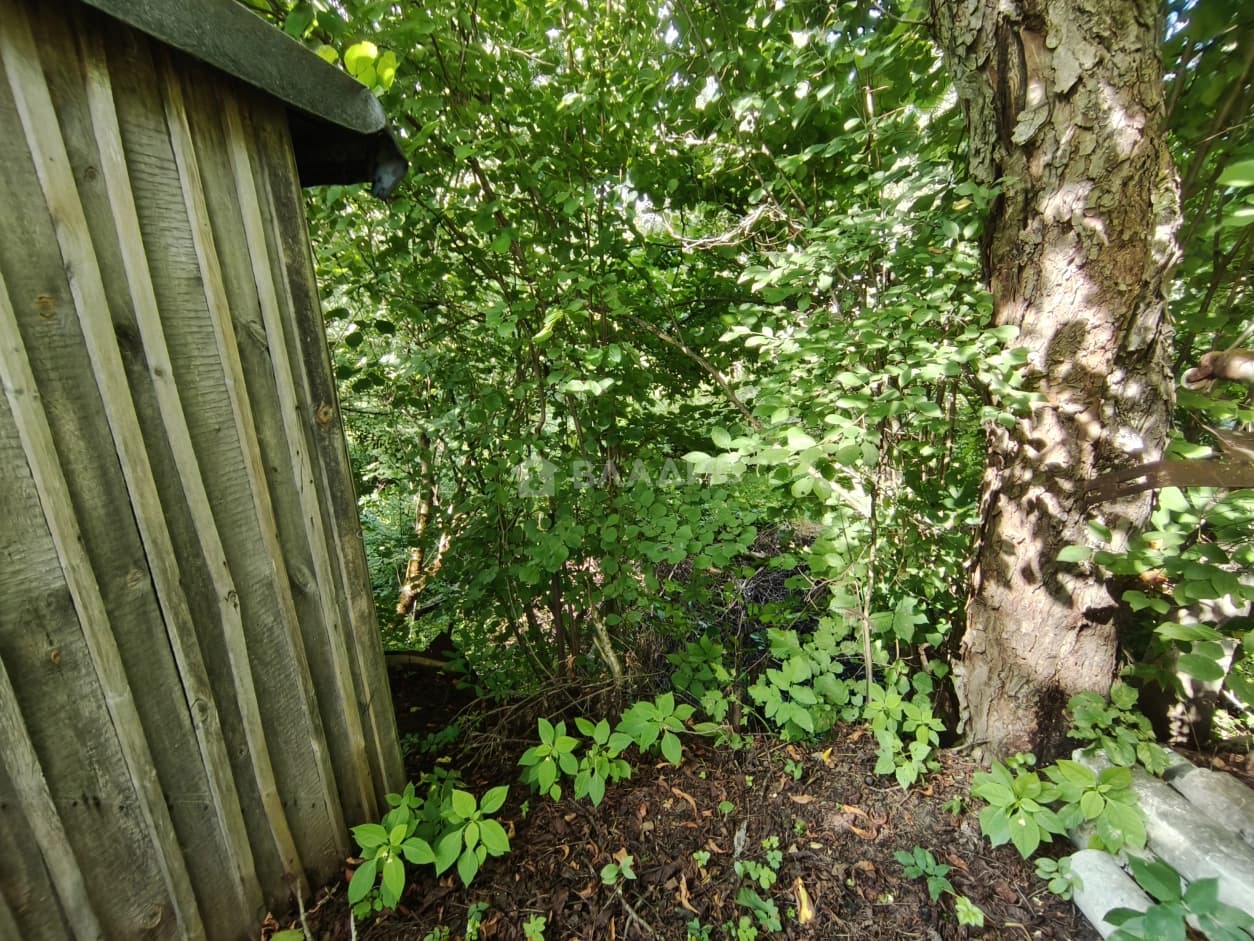 Photo 31