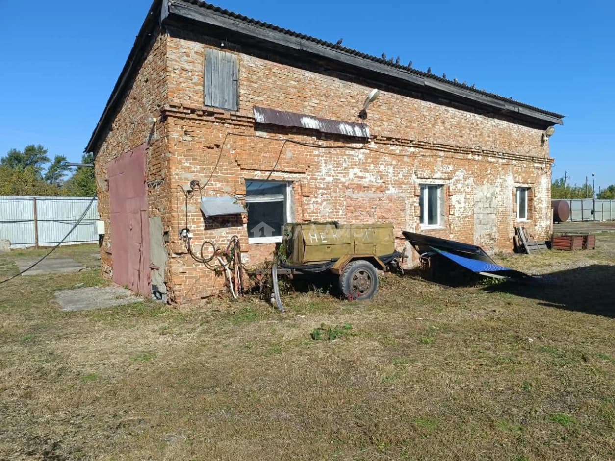 Photo 11