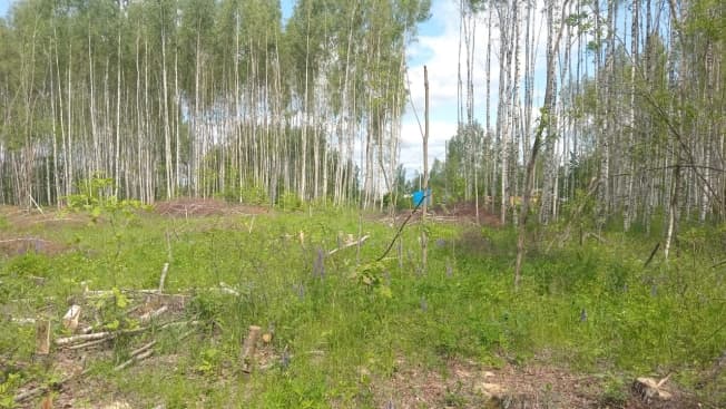 Купить земельный участок на улице 3-я Сорокинская в Владимире. Вариант № 1627741, 1, площадь - квм, цена 1080000 рублей
