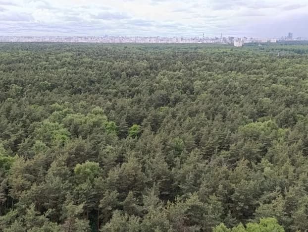 Купить квартиру в ЖК Отлично в Люберцах. Вариант № 2189215, 0, площадь - квм, цена 24950000 рублей
