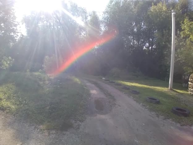 Купить земельный участок в Оренбургской области. Вариант № 2285002, 1, площадь - квм, цена 870000 рублей