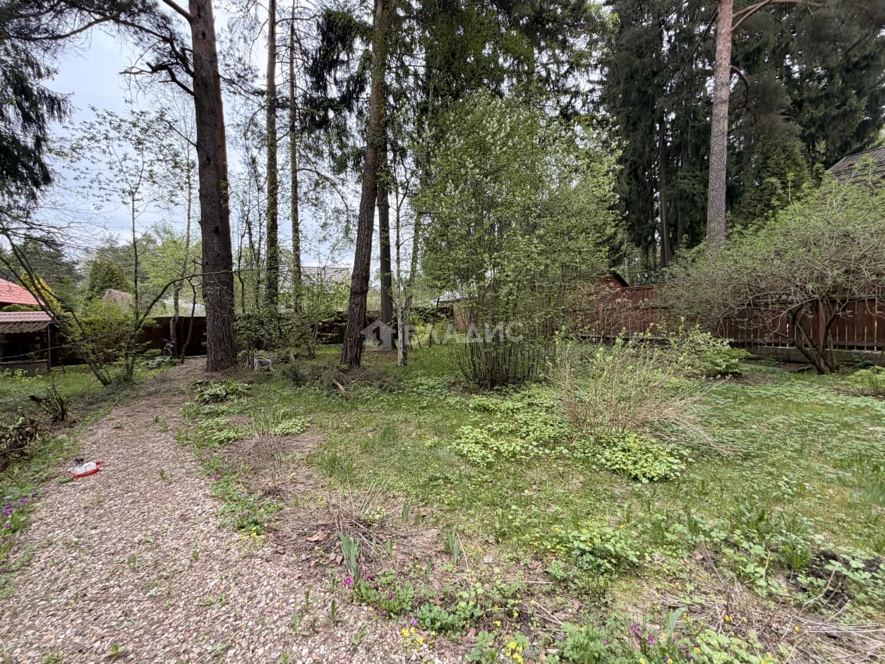 Photo 30