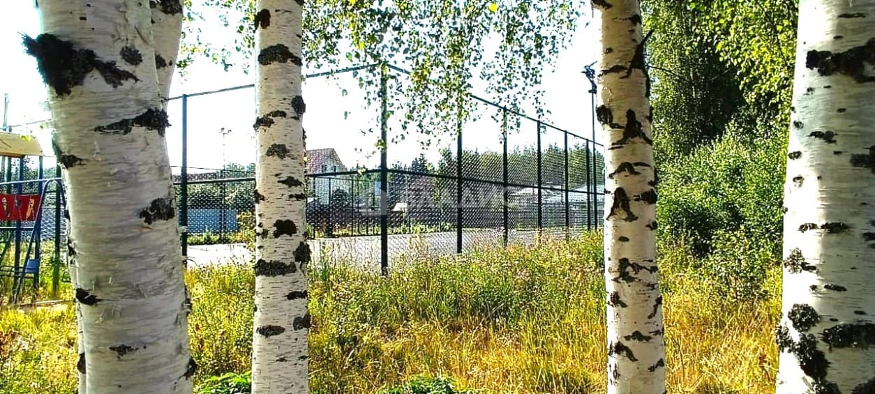 Photo 40
