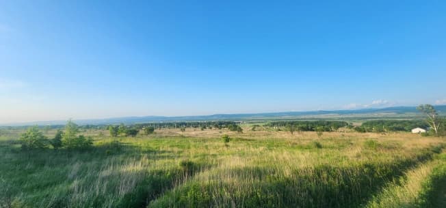 Купить земельный участок в селе Михайловка в Михайловском Муниципальном Округе в Микрорайоне Северный, село Михайловка в Приморском крае. Вариант № 2228470, 0, площадь - квм, цена 1700000 рублей