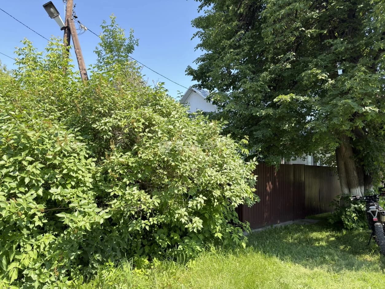 Photo 38