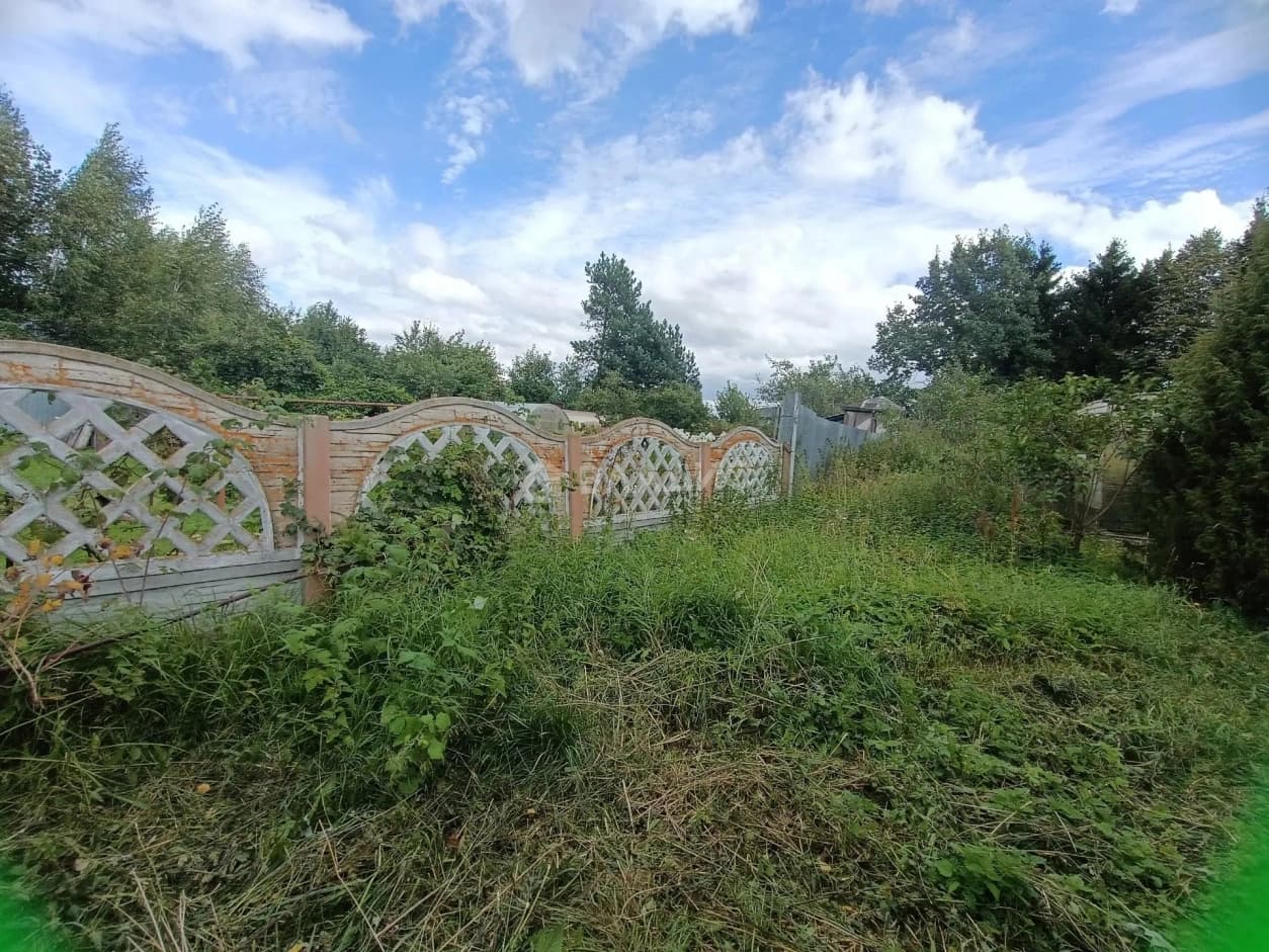 Photo 22
