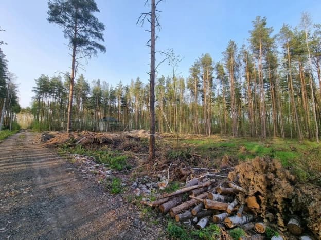 Купить земельный участок в Приозерском районе в Ленинградской области. Вариант № 2253032, 0, площадь - квм, цена 2100000 рублей