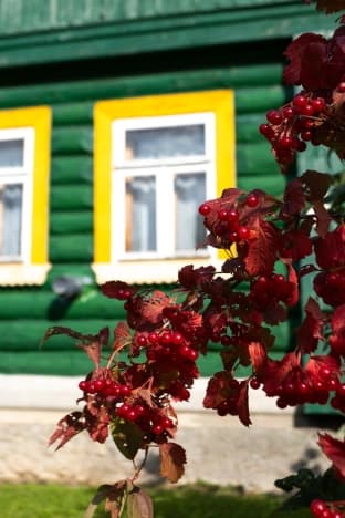 Купить дом в Деревне Байгуши в Судогодском районе в Владимирской области. Вариант № 2326322, 1, площадь - квм, цена 3950000 рублей