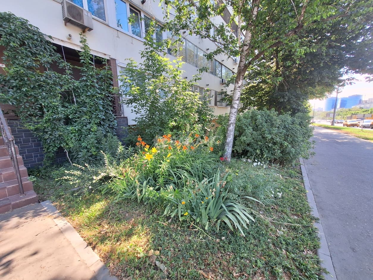Photo 35