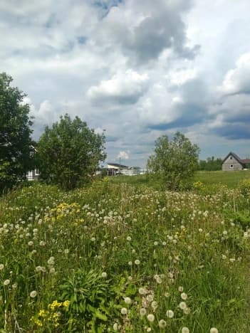 Купить земельный участок в Приозерском районе в Ленинградской области. Вариант № 2248752, 0, площадь - квм, цена 800000 рублей