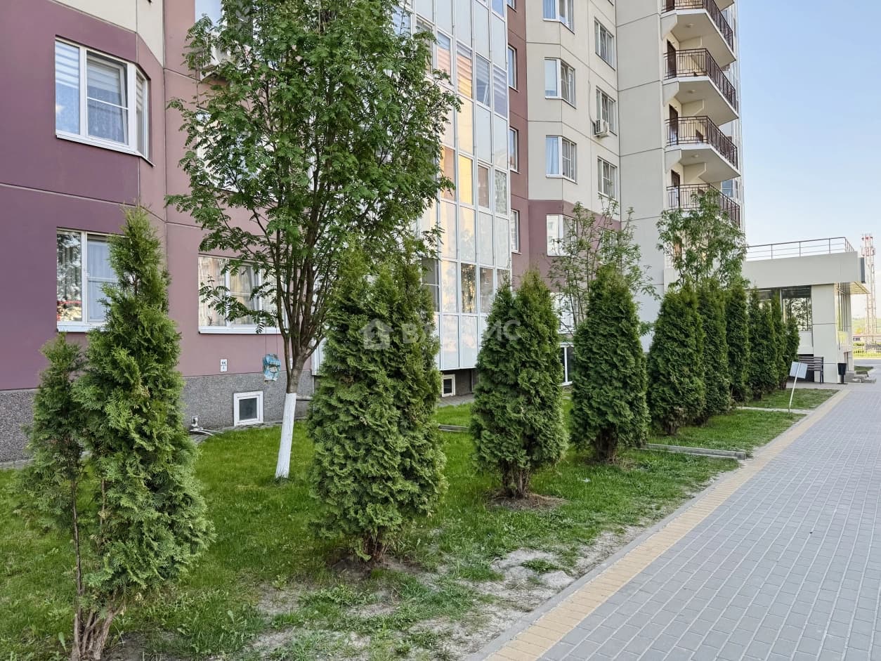 Photo 33