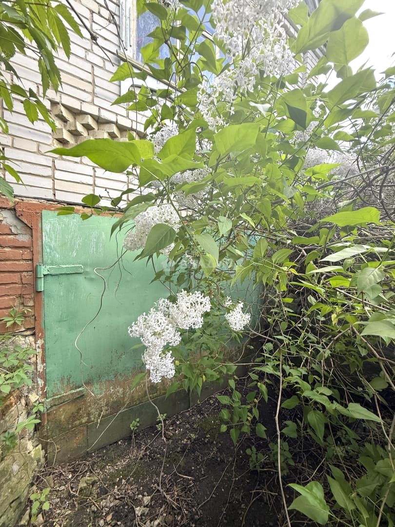 Photo 27