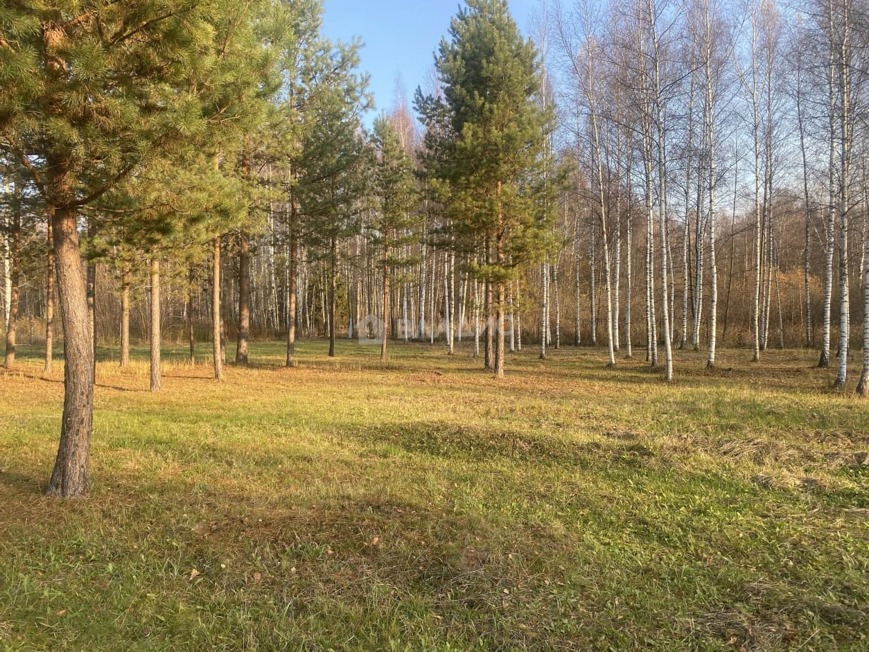 Photo 35