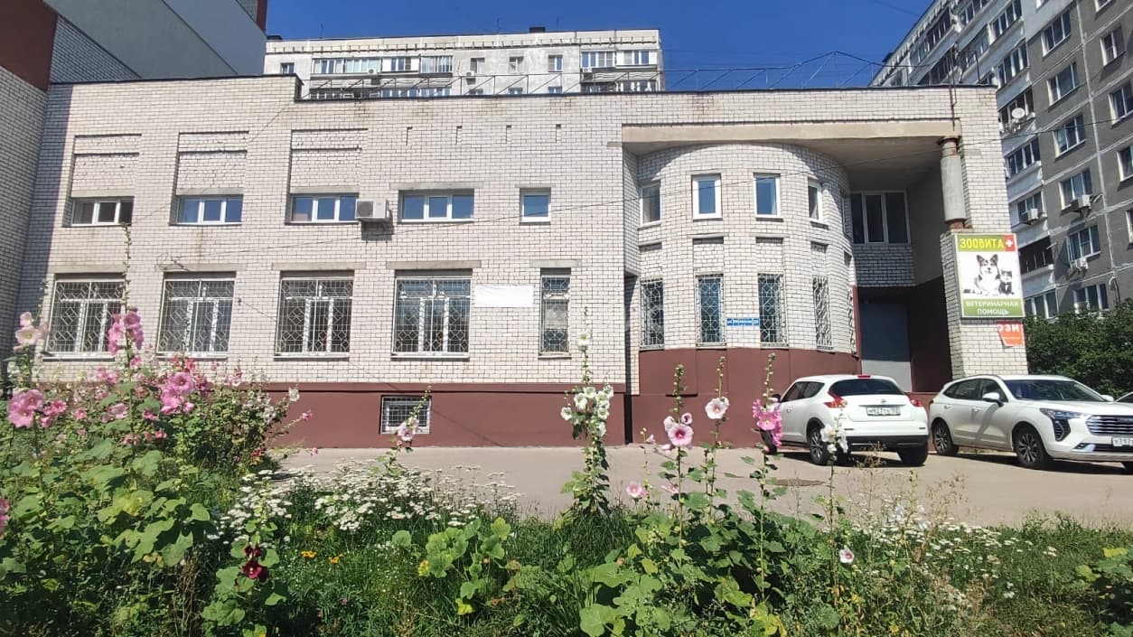 Photo 16