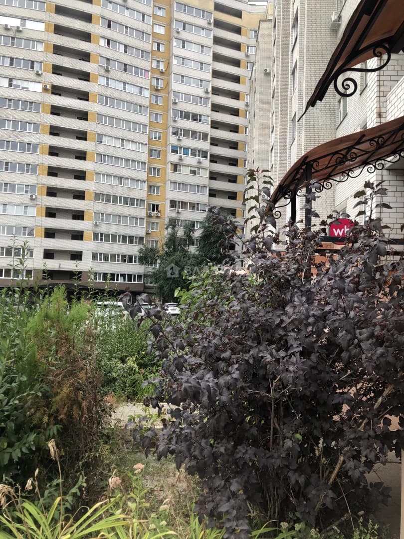 Photo 17