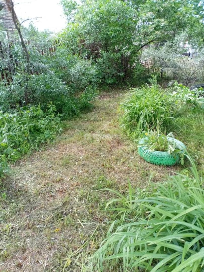 Photo 32