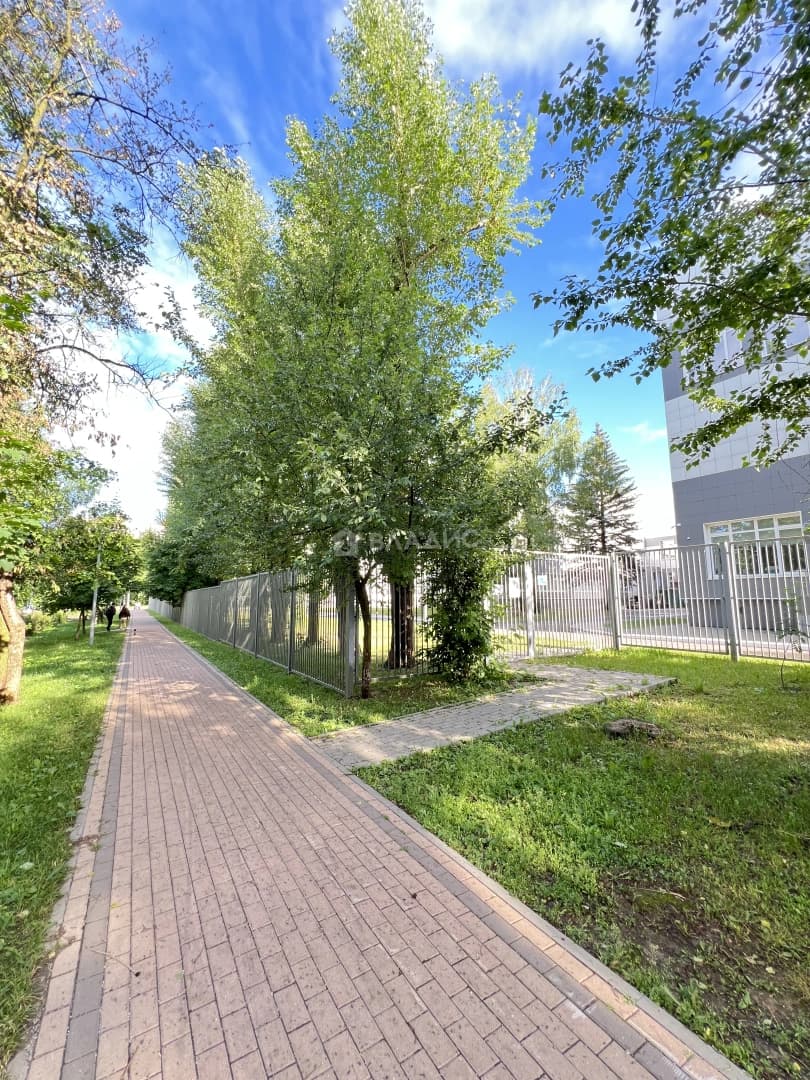 Photo 15