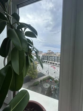 Купить двухкомнатную квартиру на улице Моторный переулок в Нижнем Новгороде. Вариант № 2338900, 1, площадь - квм, цена 11100000 рублей
