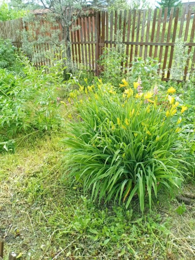 Photo 28