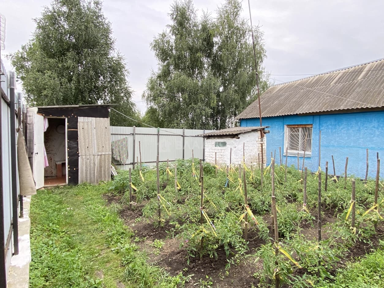 Photo 26