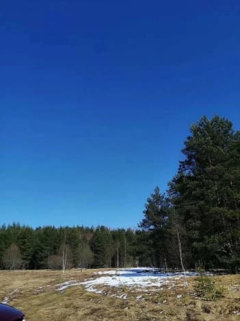 Купить земельный участок в Деревне Мешкове (николо-Кормском Сельском Округ) в Рыбинском Муниципальном Округе в Ярославской области. Вариант № 1645222, 0, площадь - квм, цена 355000 рублей