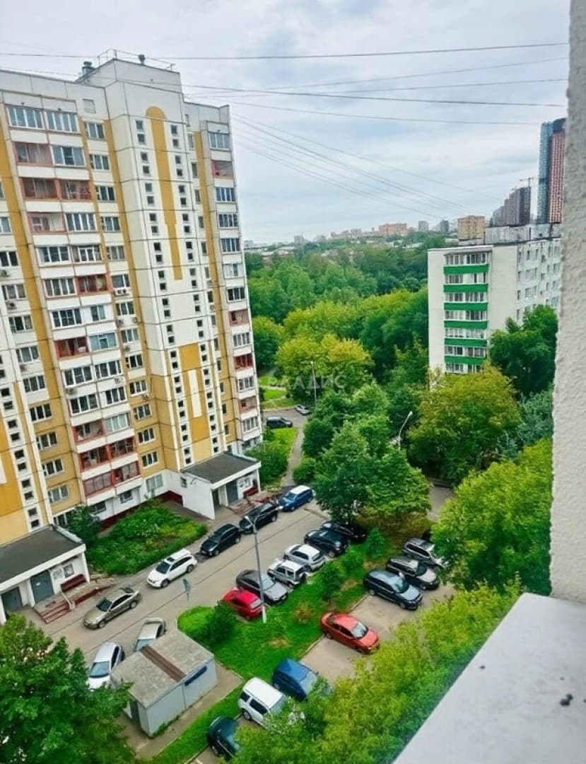 Photo 10